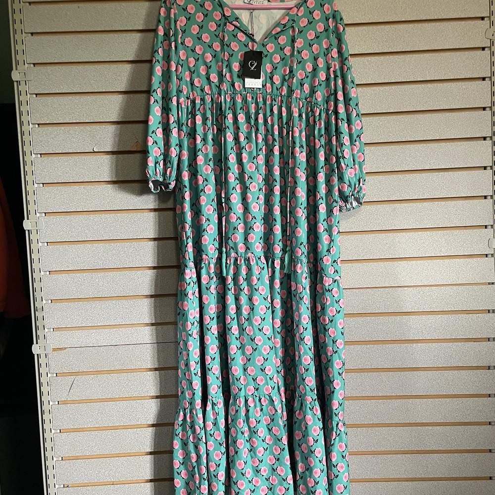 NWTS  Cezele Green Pink Floral Maxi Dress Sz M‎ Long 3/4 Sleeve Roses